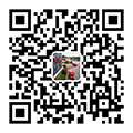 技術咨詢
